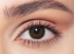 BELLA ONE DAY - CEDAR