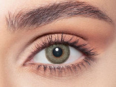 BELLA ONE DAY - PINE