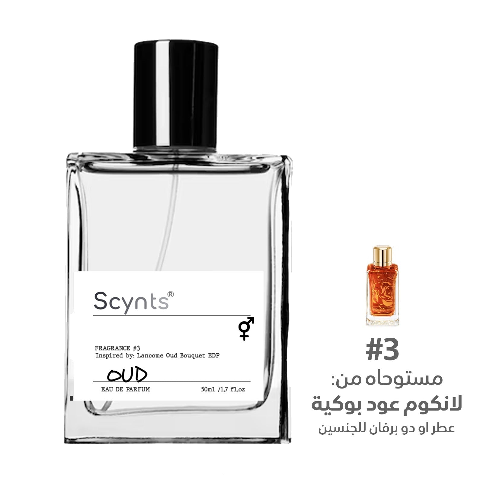 ARTMED SCYNTS OUD PERFUME 50ML - Anwar Store