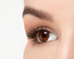 ARDELL PRE-CUT MAGNETIC LASH 110 Anwar Store