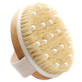 Dry Body Brush Anwar Store