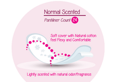 Freshdays Normal Scented 2+1 Free 24pcs*3 Anwar Store