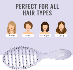 Wet Brush Speed Dry Osmosis Purple 736658556438 Anwar Store