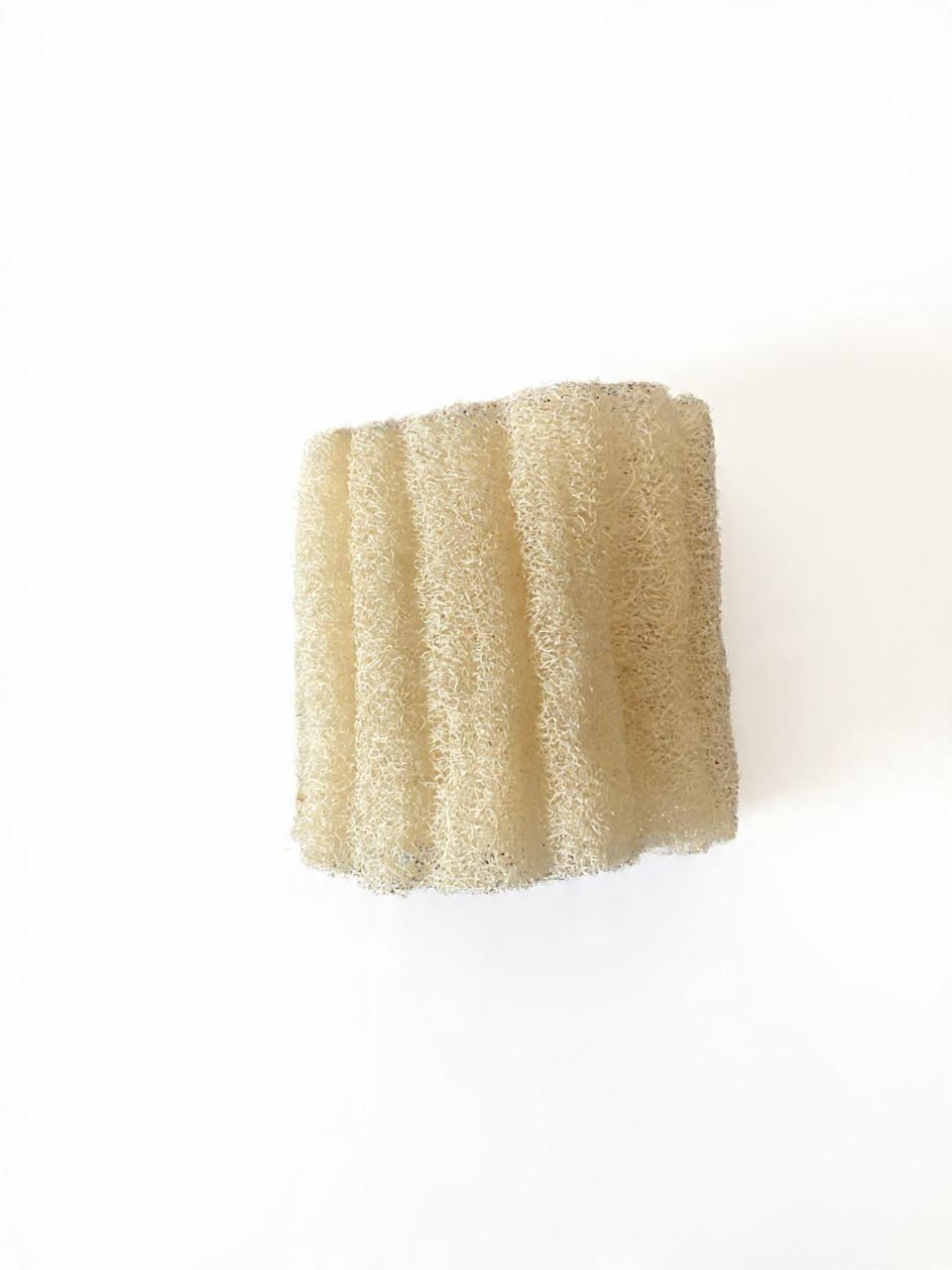 AM MUMPA LOOFAH