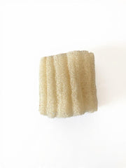 AM MUMPA LOOFAH
