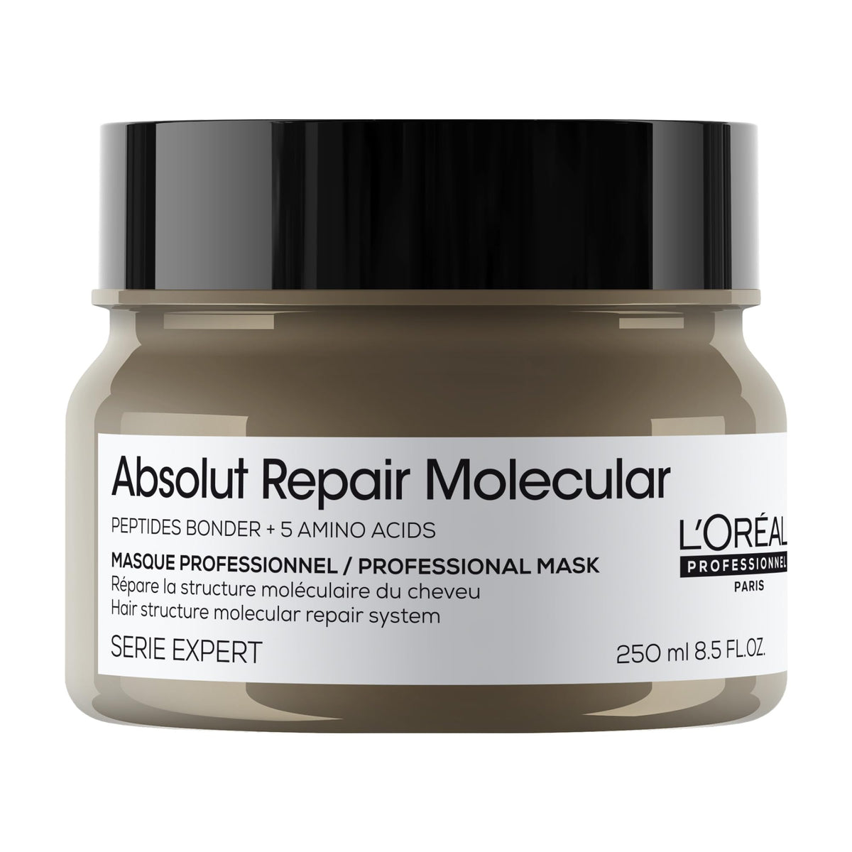 LOREAL ABUOLUT REPAIR MOLECULAR MASK 250ML - Anwar Store