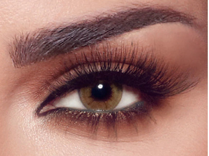 BELLA CITRINE CRYSTAL THE SECRET COLLECTION ONE DAY Color Contact Lenses Anwar Store