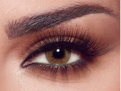 BELLA CITRINE CRYSTAL THE SECRET COLLECTION ONE DAY Color Contact Lenses Anwar Store