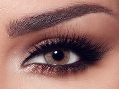 BELLA HAZEL BEIGE THE SECRET COLLECTION ONE DAY Color Contact Lenses Anwar Store