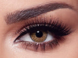 BELLA RADIANT HAZELNUT THE SECRET COLLECTION ONE DAY Color Contact Lenses Anwar Store