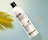 Bless shampoo with argan oil 500ml Anwar Store