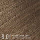 GK JUVEXIN CREAM COLOR 8.01 Cold Intense Light Blonde