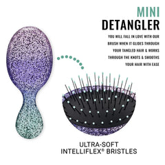 Wet Brush Squirt Detangler Hair Brushes - Shimmering Sky, Dreamy Dawn - Mini Detangling Brush with Ultra-Soft IntelliFlex Bristles Glide Through Tangles with Ease - Pain Free Comb Anwar Store