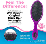 Wet Brush Thick Hair Purple 736658585452 Anwar Store