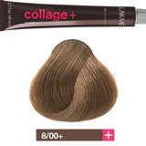 LAKME COLLAGE+ INTENSE CREME HAIR COLOR 8/00+ LIGHT BLOND 60ML